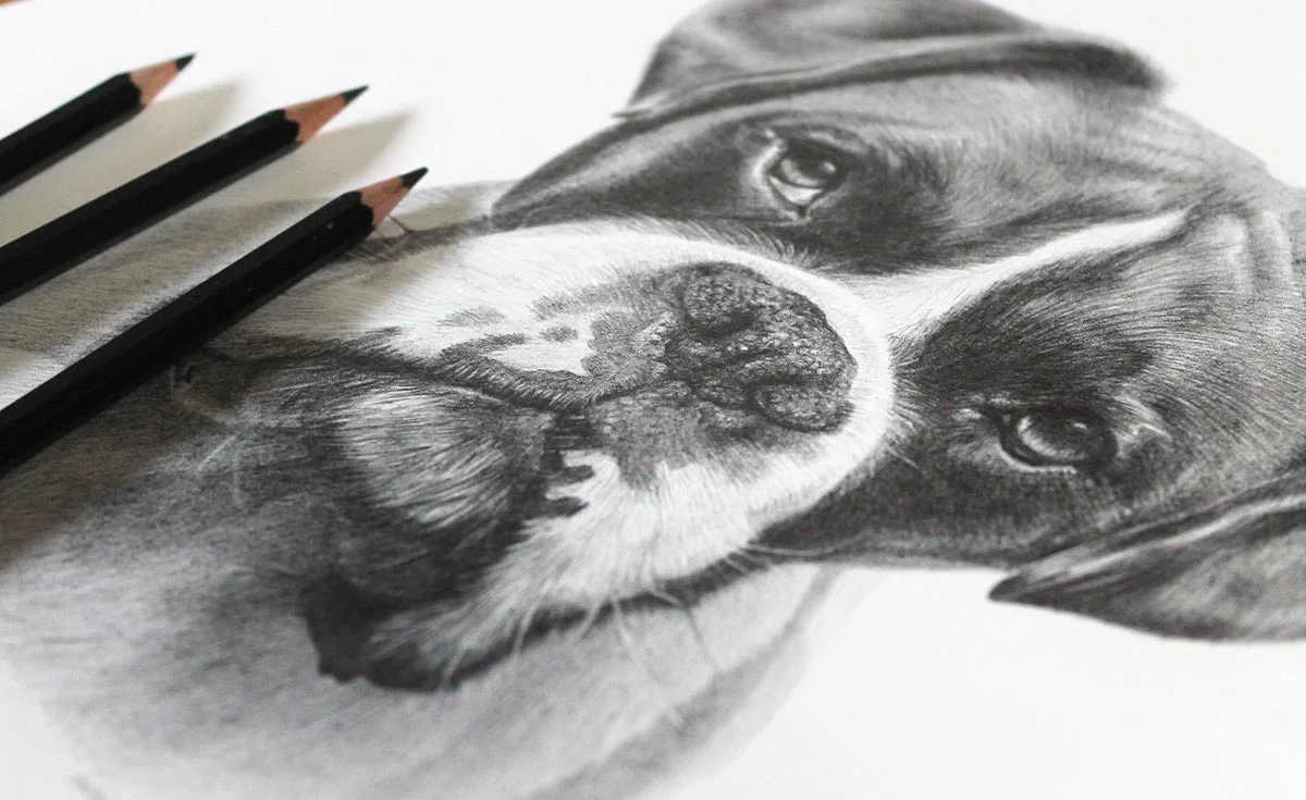 Pencil Portrait of a Boxer Dog Realistic pencil portrait of a Boxer dog with detailed fur and expression.