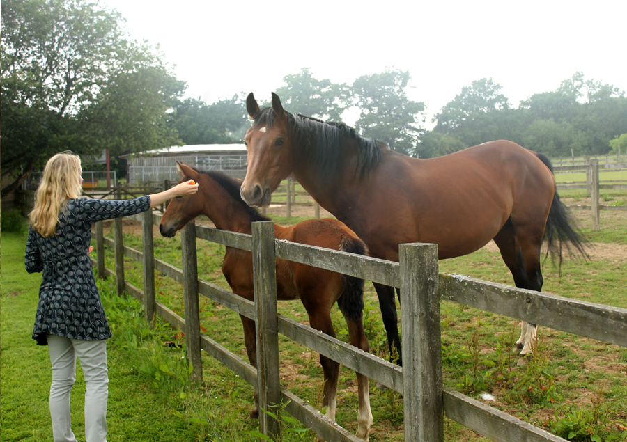 Melanie and Horses