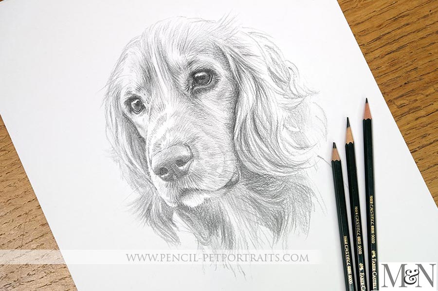 Classic Pencil Sketch