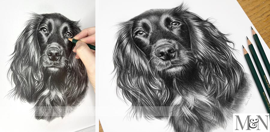 Pencil Pet Portraits