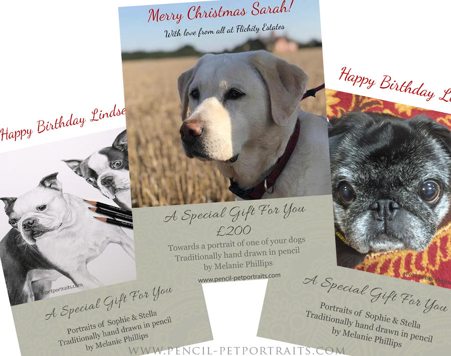 Pet Portraits Gift Vouchers