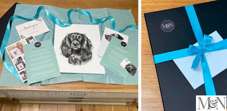 Pet Portraits Gift Packaging