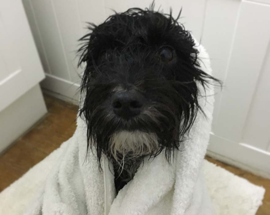 Lily having a bath