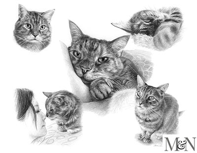 Cat Pencil Pet Portraits Montage