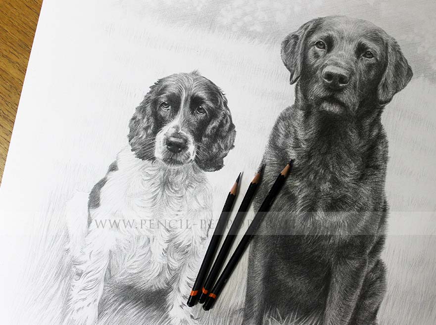 Double Dog Pet Portraits