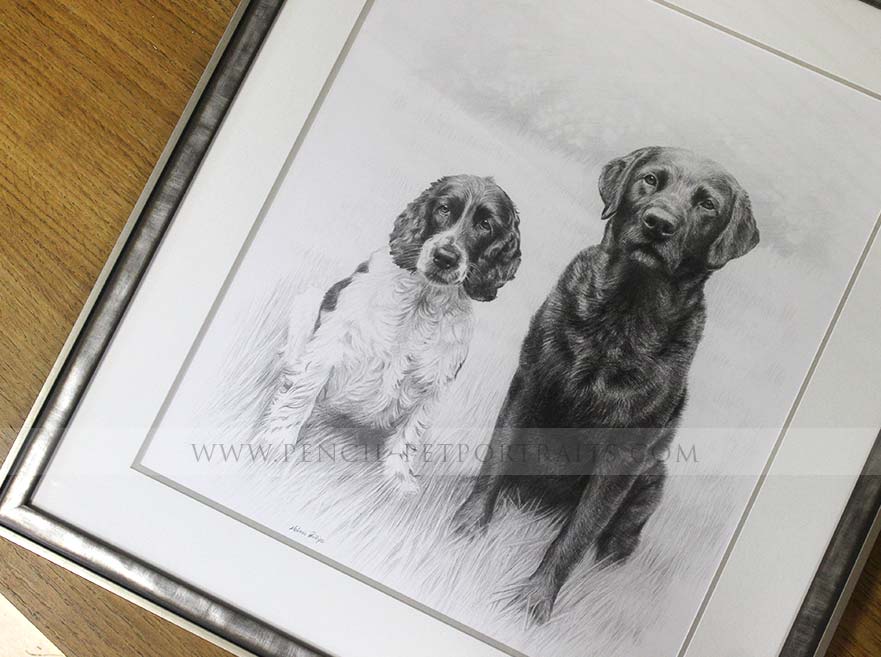 Double Dog Pet Portraits