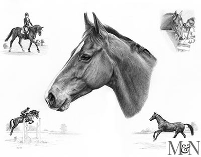 horse pet portraits montage