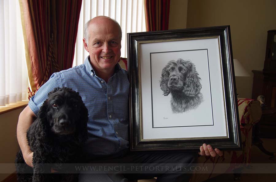 Spaniel Pencil  Portraits