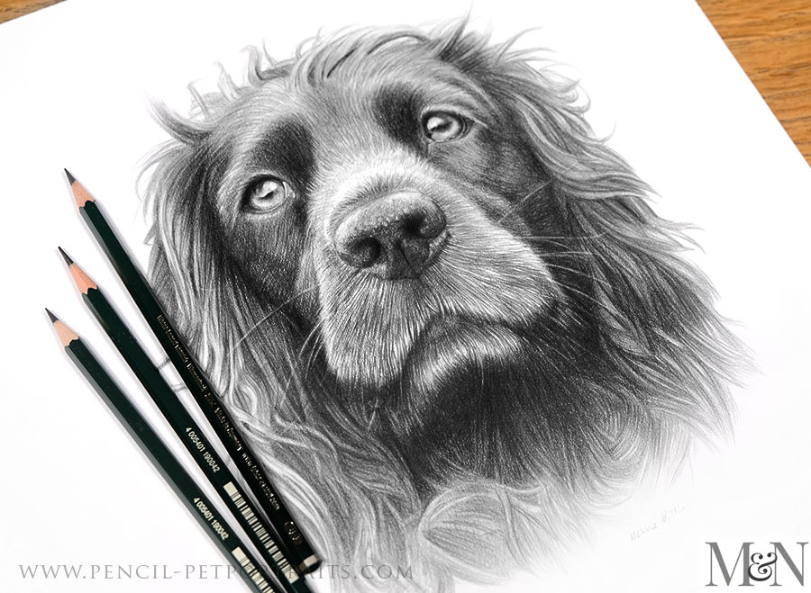 Pencil Portraits In Detail