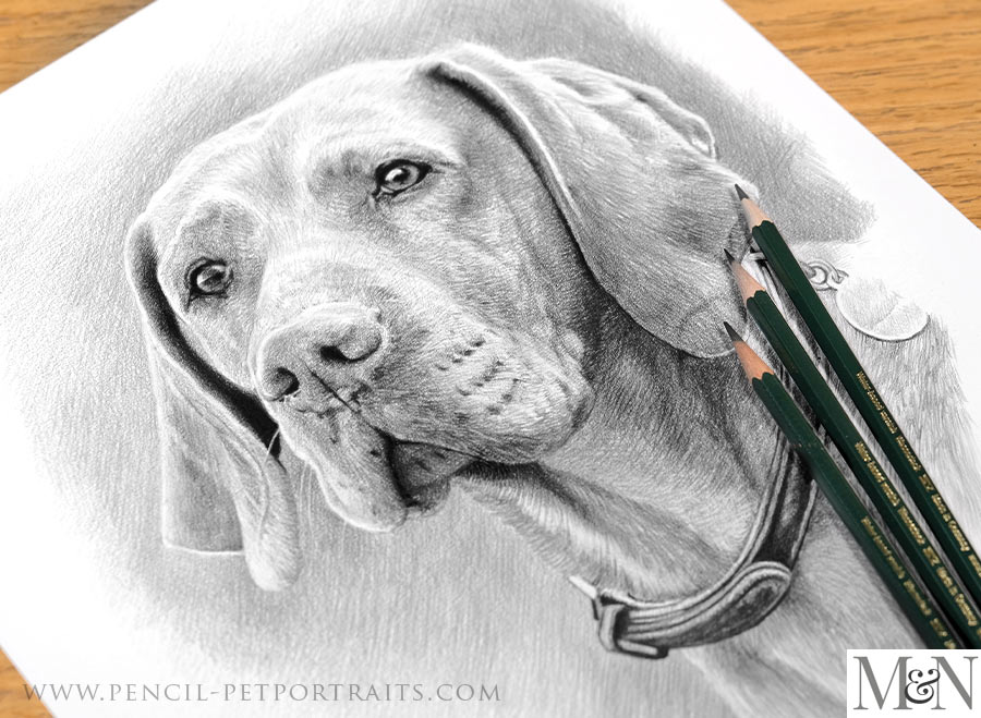 Pencil Portraits In Detail