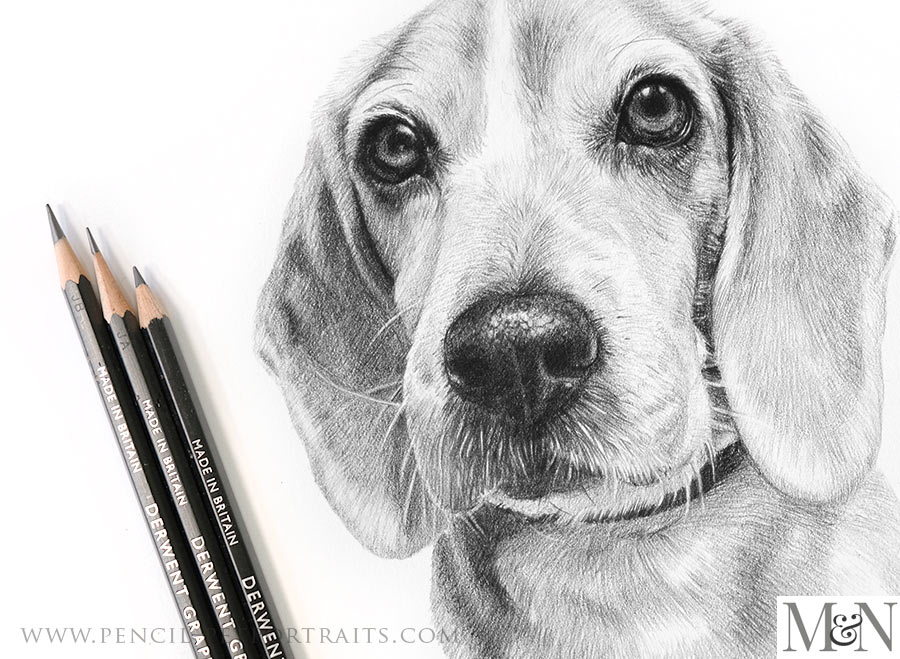 Pencil Portraits In Detail