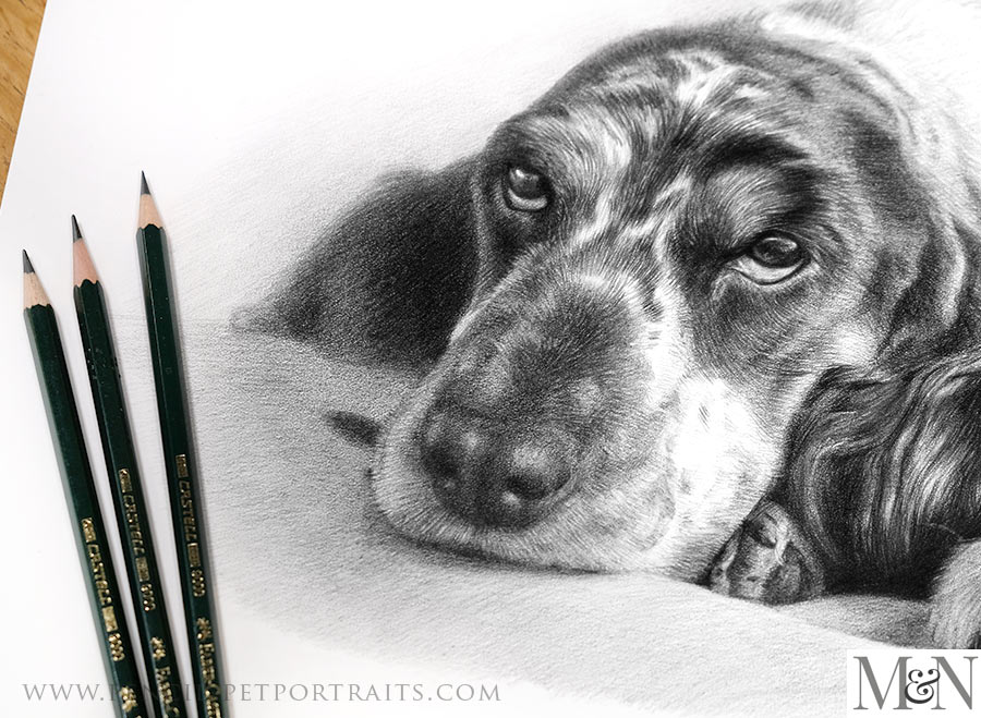 Pencil Portraits In Detail