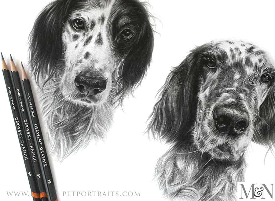 Pencil Portraits In Detail