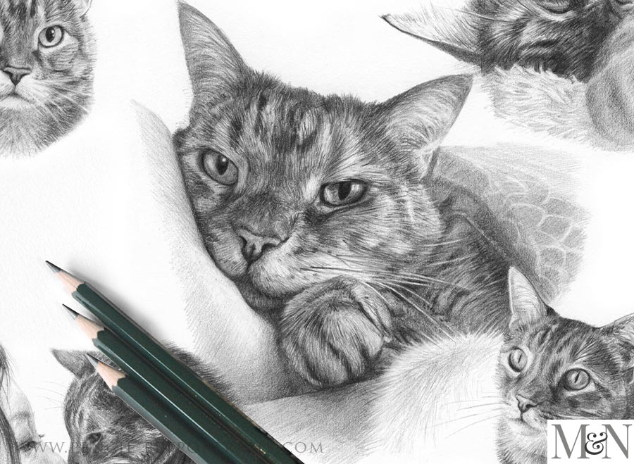 Pencil Portraits In Detail