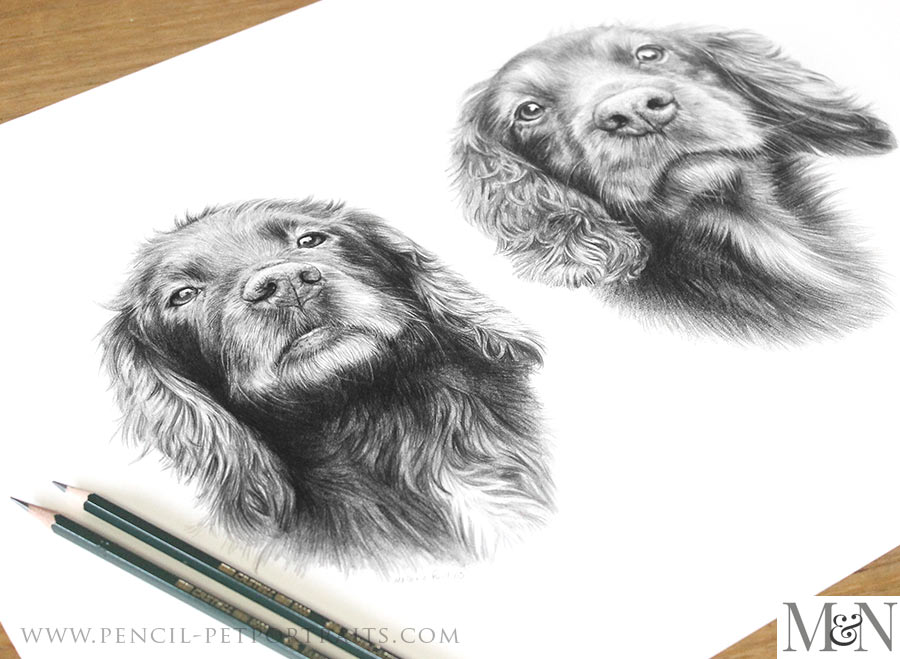 Pencil Portraits In Detail