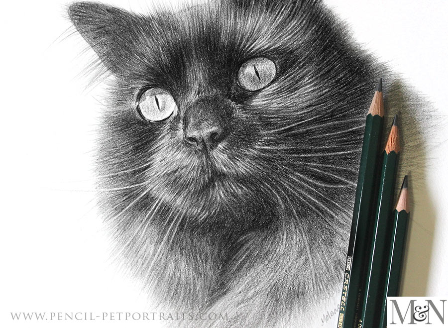 Pencil Portraits In Detail