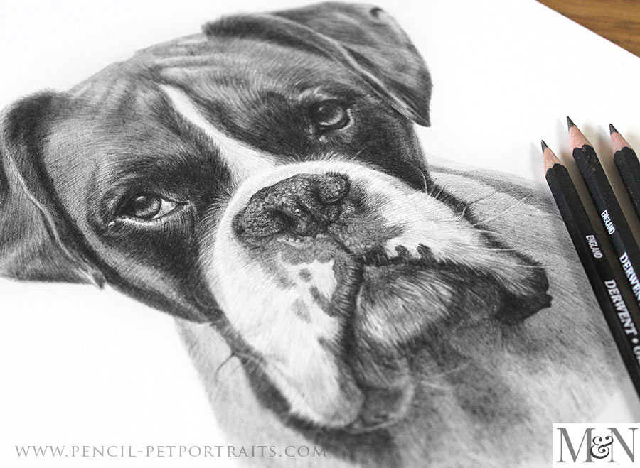 Pencil Portraits In Detail