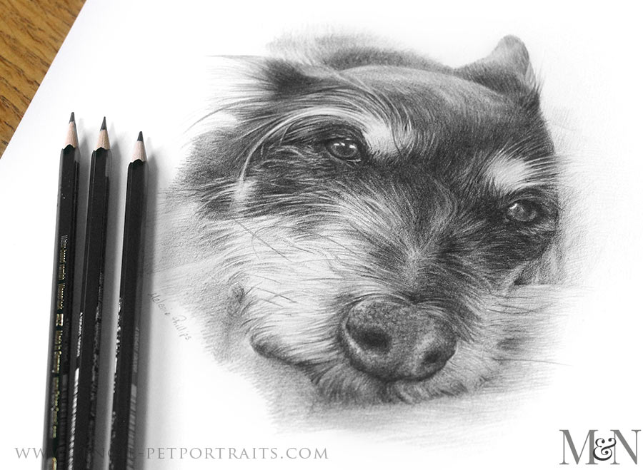 Pencil Portraits In Detail