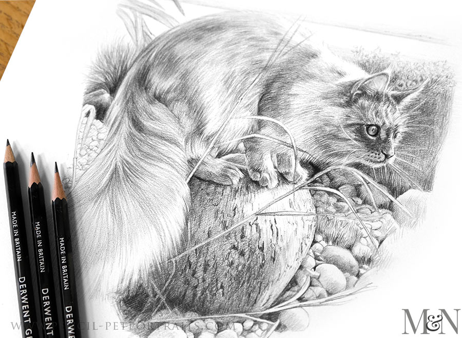 Pencil Portraits In Detail