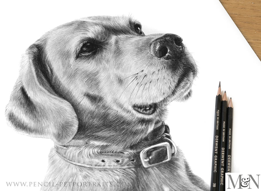 Pencil Portraits In Detail