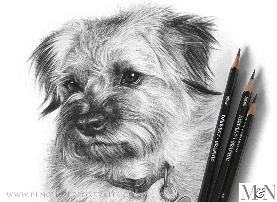 Pencil Portraits In Detail