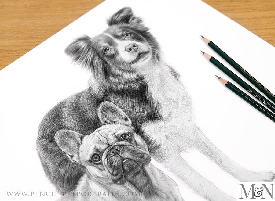 Pencil Portraits In Detail