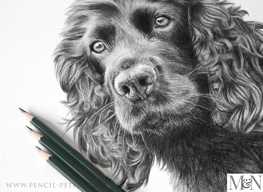 Pencil Portraits In Detail