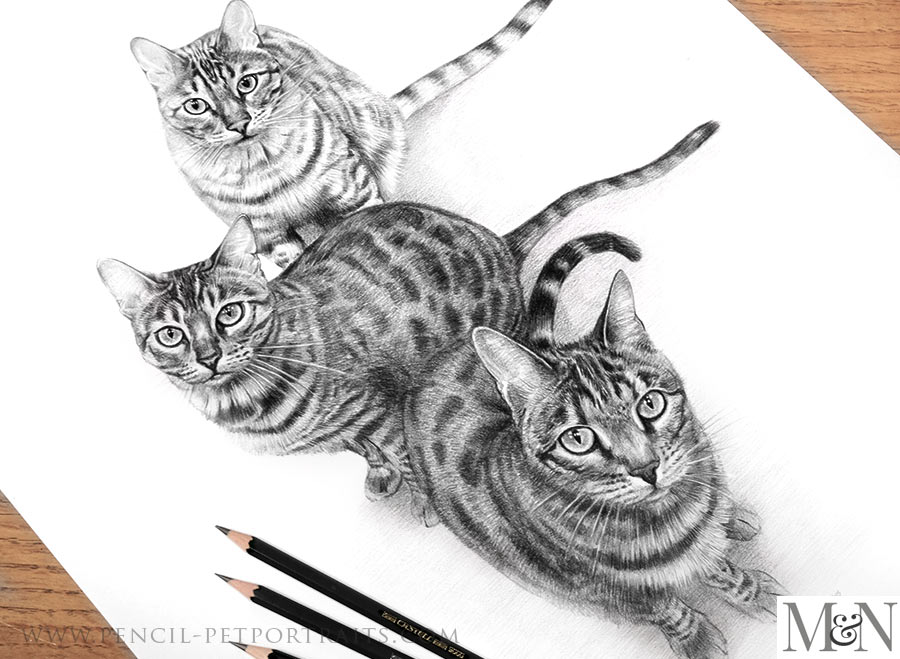 Pencil Portraits In Detail