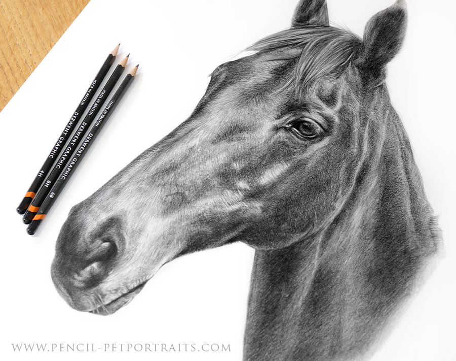 Pencil Portraits In Detail