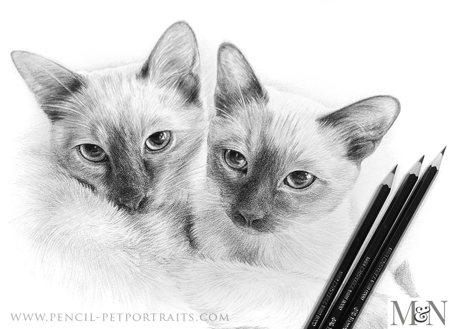 Pencil Portraits In Detail