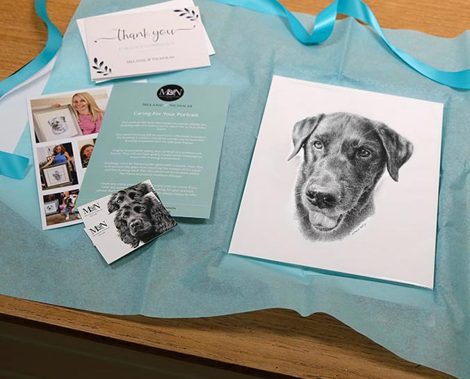 Bespoke pencil sketch of Beano the dog, commissioned as a gift